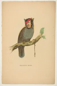 Gallows Bird, from The Comic Natural History of the Human Race