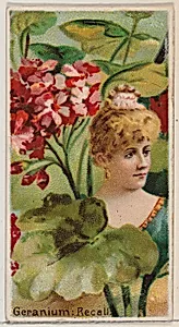 Geranium: Recall, from the series Floral Beauties and Language of Flowers (N75) for Duke brand cigarettes by Donaldson Brothers|American Tobacco Company