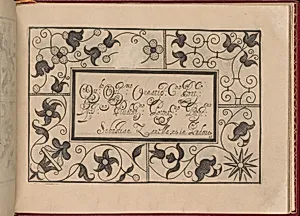 Ghirlanda: Di sei vaghi fiori scielti da piu famosi Giardini d'Italia, page 41 (recto) by Pietro Paulo Tozzi|Libraria del Giesu