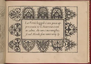 Ghirlanda: Di sei vaghi fiori scielti da piu famosi Giardini d'Italia, page 46 (recto)