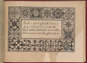 Ghirlanda: Di sei vaghi fiori scielti da piu famosi Giardini d'Italia, page 47 (recto)