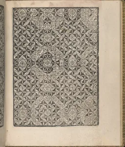 Giardineto novo di punti tagliati et gropposi per exercitio & ornamento delle donne (Venice 1554), page 14 (recto)