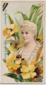 Gilly-flower: Unfading Beauty, from the series Floral Beauties and Language of Flowers (N75) for Duke brand cigarettes