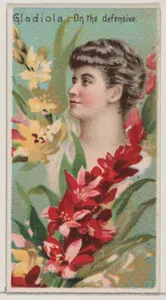 Gladiola: On the Defensive, from the series Floral Beauties and Language of Flowers (N75) for Duke brand cigarettes