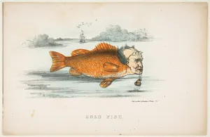 Gold Fish (Francis M. Drexel), from The Comic Natural History of the Human Race