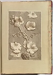Grapes and Vine-leaves