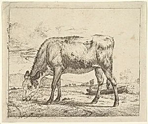 Grazing Calf, from Different Animals