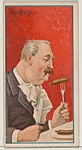 Ground Hog, from the Jokes series (N87) for Duke brand cigarettes by W. Duke, Sons & Co.|George S. Harris & Sons