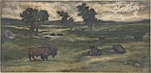 Group of Bison
