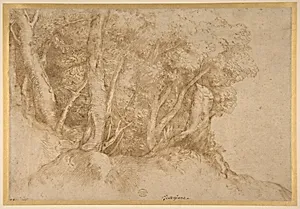 Group of Trees