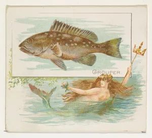 Grouper, from Fish from American Waters series (N39) for Allen & Ginter Cigarettes by Allen & Ginter|Lindner, Eddy & Claus
