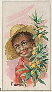 Guava, from the Fruits series (N12) for Allen & Ginter Cigarettes Brands by Allen & Ginter|George S. Harris & Sons