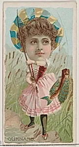 Gurnard, from the series Fishers and Fish (N74) for Duke brand cigarettes by W. Duke, Sons & Co.|Knapp & Company