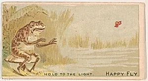 Happy Fly, from the Magic Changing Cards series (N223) issued by Kinney Tobacco Company by Kinney Brothers Tobacco Company