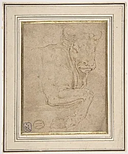 Head and Front Quarters of a Bull