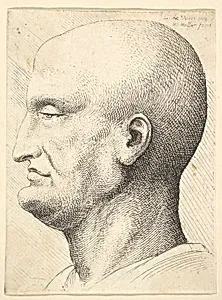 Head of a bald man in profile to left by Leonardo da Vinci|Wenceslaus Hollar