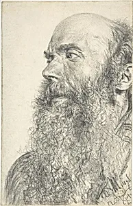 Head of a Bearded Man
