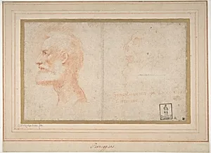 Head of a Bearded Man in Profile to Left, possibly the Portrait of the Poet Giorgio Anselmi (ca. 1459-1528), with Faint Sketch of a Skull-like Head