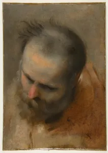Head of a Bearded Man Looking to Lower Left (Nicodemus)