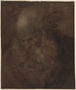 Head of a Bearded Old Man in Three-Quarter View Looking Down