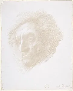 Head of a Man