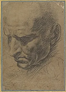 Head of a Man