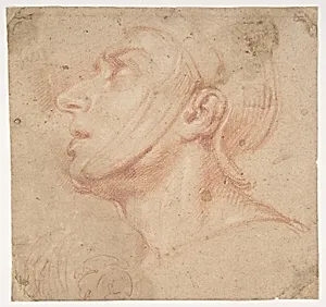 Head of a Man Wearing a Helmet, Looking to Upper Left (recto); Two Sketches, Arms and Hands (verso) by Francesco di Maria