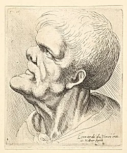 Head of a man with protruding chin and snub nose looking upwards in profile to left by Leonardo da Vinci|Wenceslaus Hollar
