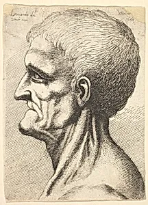 Head of a toothless man with bare, sinewy neck in profile to left by Leonardo da Vinci|Wenceslaus Hollar