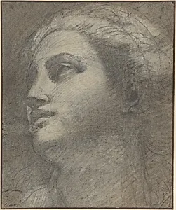 Head of a Woman Looking to Upper Left