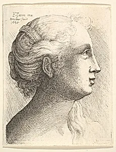 Head of a young woman in profile to right by Parmigianino (Girolamo Francesco Maria Mazzola)|Wenceslaus Hollar