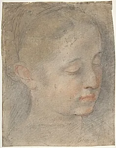 Head of a Young Woman Looking to Lower Right
