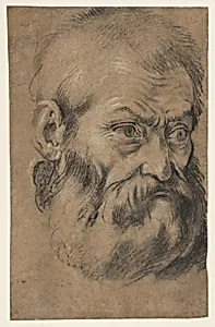 Head of beared man (recto), Study of an apostle (verso)
