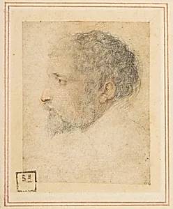 Head of man in Profile to Left