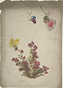 Heather, Sweet Peas and Butterfly by Anonymous, British, 19th century