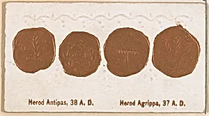 Herod Antipas, 38 A.D. / Herod Agrippa, 37 A.D., from the Ancient Coins series (N180) issued by Wm. S. Kimball & Co. by William S. Kimball & Company