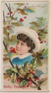 Holly: Foresight, from the series Floral Beauties and Language of Flowers (N75) for Duke brand cigarettes