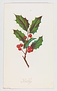 Holly from Autumn Leaves Part 2 by Louis Prang & Co.