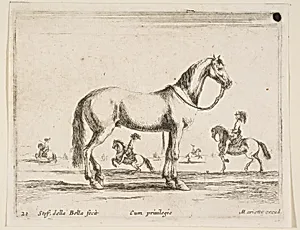 Horse, plate 21 from "Various Animals" (Diversi Animali) by Stefano della Bella|Pierre Mariette