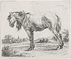 Horse standing on a meadow in profile to left