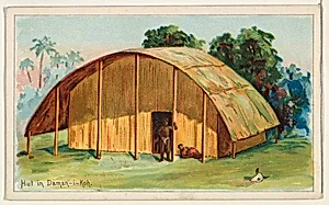 Hut in Daman-i-koh, from the Habitations of Man series (N113) issued by W. Duke, Sons & Co. to promote Honest Long Cut Smoking and Chewing Tobacco by W. Duke, Sons & Co.|American Tobacco Company|The Giles Company