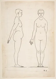 IIllustration from Dürers Vier Bucher von Menslicher Proportion, Nuremberg, 1528