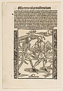 Illustration from Sebastian Brandt: Navis Stultifera, Strassburg 1497 by Albrecht Dürer