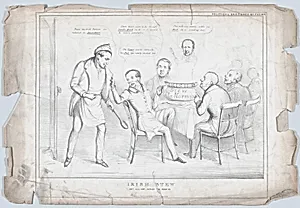 Irish Stew: Not All Hot – Rather Too Much So