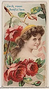 Jack Rose: Bashful Love, from the series Floral Beauties and Language of Flowers (N75) for Duke brand cigarettes by Donaldson Brothers|American Tobacco Company