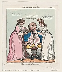 Killing with Kindness by George Murgatroyd Woodward|Thomas Rowlandson|Rudolph Ackermann, London