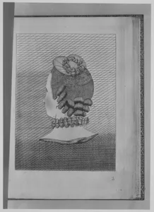 L'Art de la Coeffure des Dames Françoises...