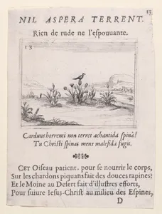L'Oiseau Posé sur un Chardon en Fleurs (The Bird Standing on Thistle Flower), from Lux Claustri ou La Lumière du Cloitre (The Light of the Cloisters), plate 13