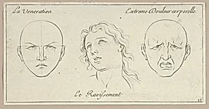 La Veneration, Le Ravissement, Extrême Douleur corporelle (from Caractères des passions, gravés sur les desseins de l'illustre Monsieur le Brun) by Sébastien Le Clerc, le Jeune|Charles Le Brun