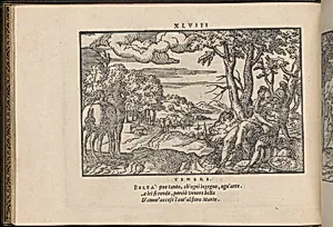 La Vera Perfettione del Disegno di varie sorti di recami, page 24 (verso) by Giovanni Ostaus|Giuseppe Salviati (Giuseppe Porta, called Il Salviati)